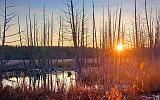 Marsh Sunrise_10768